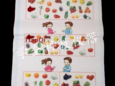 小學數學統(tǒng)計與概率教學掛圖